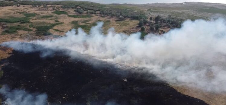 Isparta'da Eğirdir Gölü kıyısındaki sazlık alanda yangın çıktı