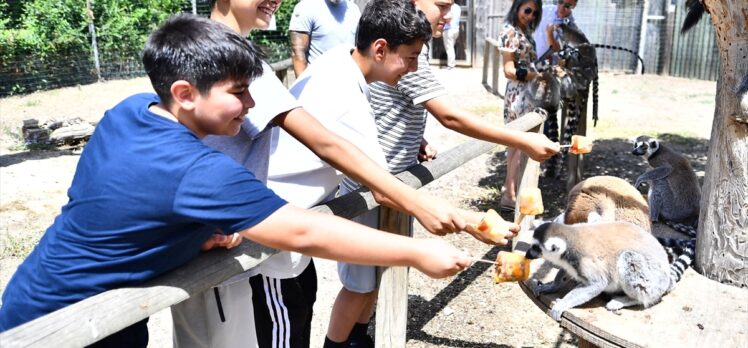 İzmir Doğal Yaşam Parkının sakinlerine “yaz menüsü”