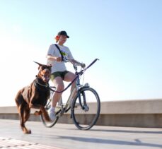 İzmir'de köpekli koşu ve bisikletli köpekli koşu düzenlendi