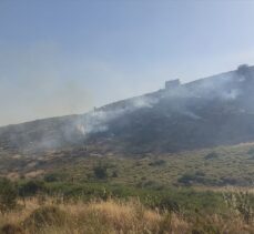 İzmir'de makilik alandaki yangın kontrol altına alındı