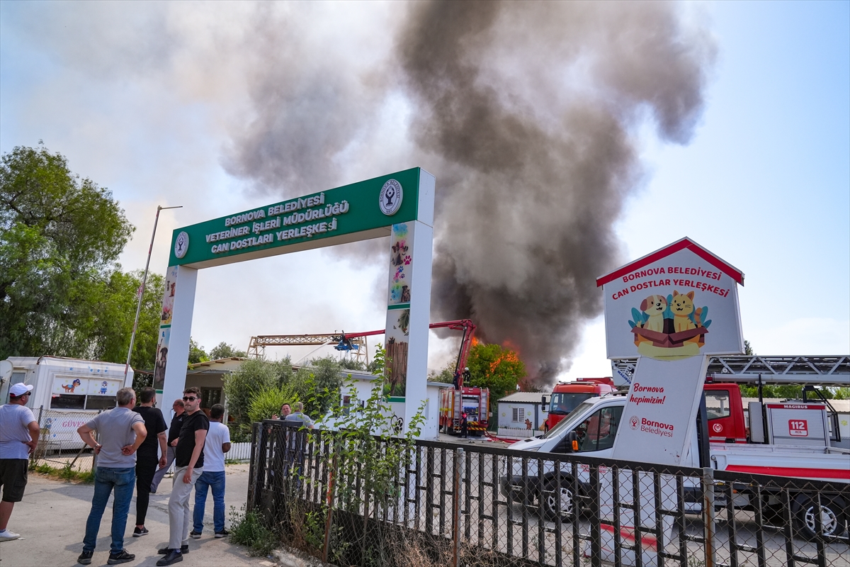 İzmir'de palet depolarındaki yangına müdahale ediliyor