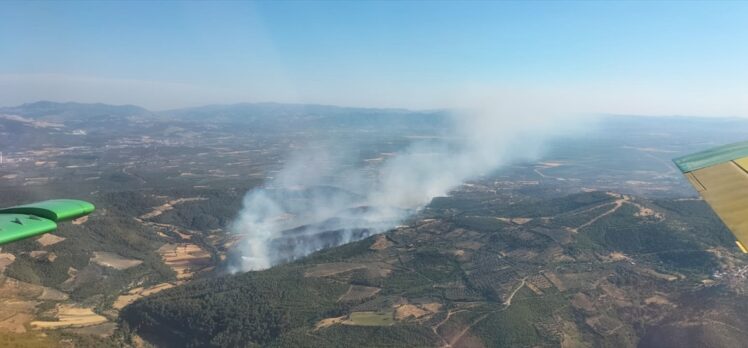 İzmir'in Bergama ilçesinde çıkan orman yangınına müdahale ediliyor