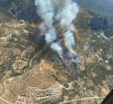 İzmir'in Karaburun ilçesinde orman yangını çıktı