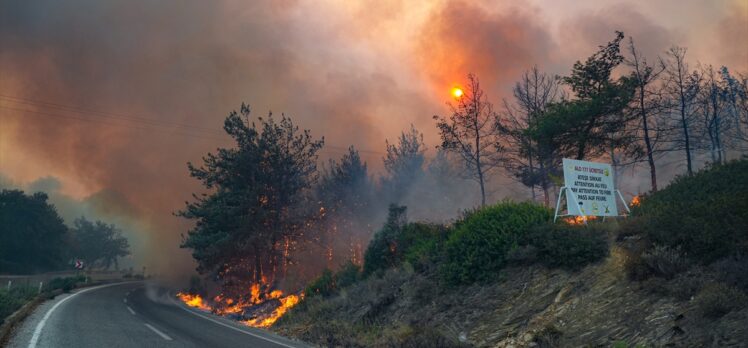 GÜNCELLEME – İzmir'in Selçuk ilçesinde orman yangını çıktı