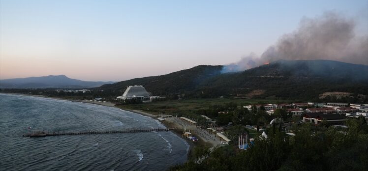 GÜNCELLEME 3 – İzmir'in Selçuk ilçesinde orman yangını çıktı