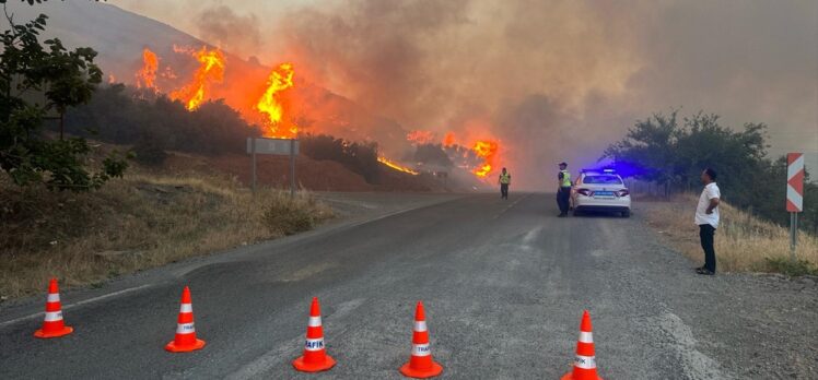 Kahramanmaraş'ta çıkan yangında 10 hektar makilik alan zarar gördü