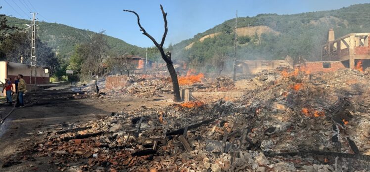 GÜNCELLEME – Kastamonu'da köyde çıkan yangında 12 ev yandı