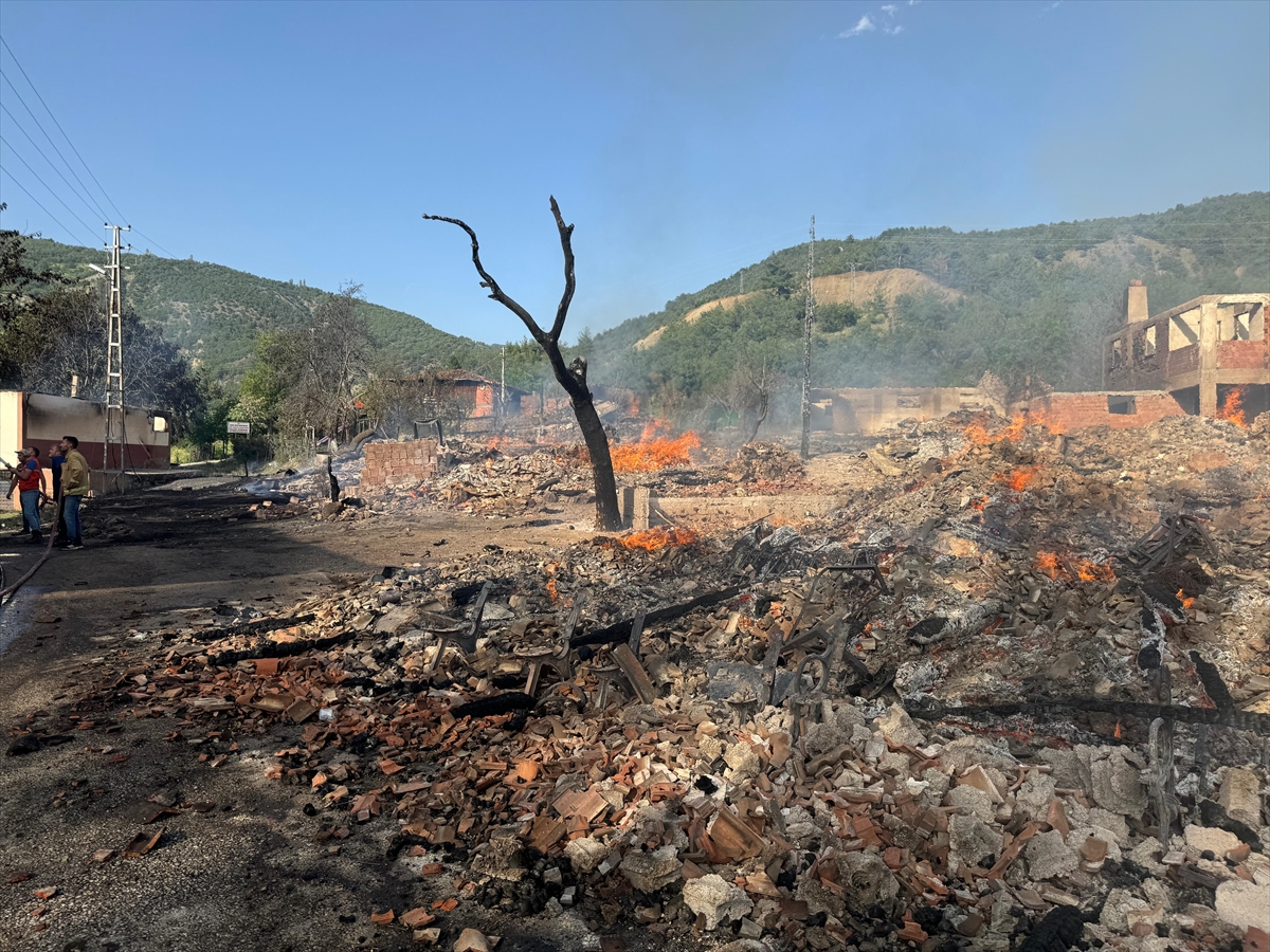 GÜNCELLEME – Kastamonu'da köyde çıkan yangında 12 ev yandı