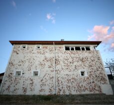 Kırklareli'nde etkili olan dolu tarım alanları, araç ve evlere zarar verdi