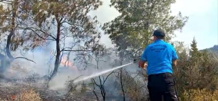 KKTC'de Mersinlik-Tatlısu arasındaki orman yangını kontrol altına alındı