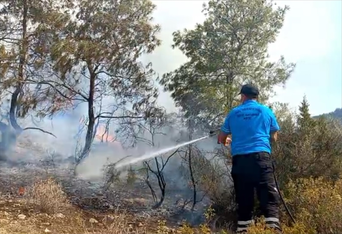 KKTC'de Mersinlik-Tatlısu arasındaki orman yangını kontrol altına alındı