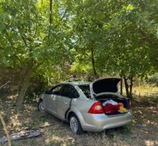 Kocaeli'de meyve bahçesine düşen otomobilin sürücüsü yaralandı