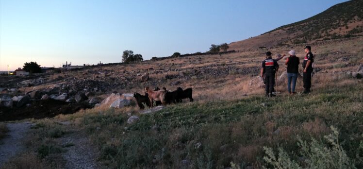 Konya'da kayıp keçiler dronla bulundu