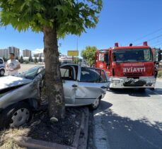 Kurban kesmeye giderken otomobiliyle ağaca çarpan sürücü yaralandı