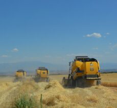 Malatya'da yılın ilk buğday hasadı yapıldı