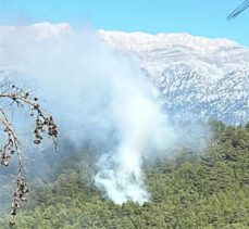 Manavgat'ta çıkan orman yangını kontrol altına alınmaya çalışılıyor