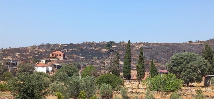 GÜNCELLEME – Manisa Salihli'de çıkan orman yangını kontrol altına alındı