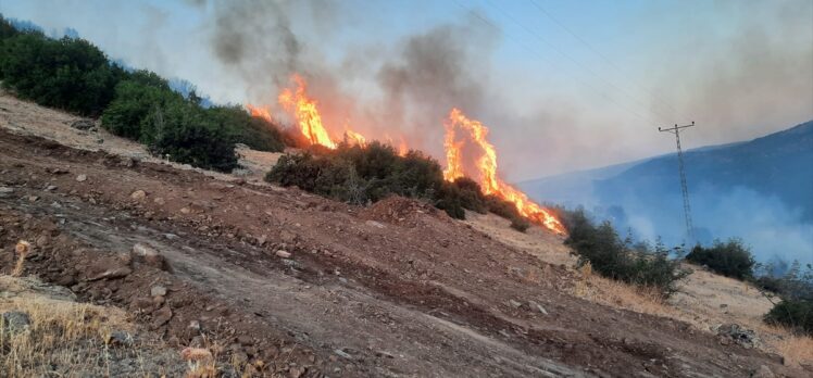 Manisa Salihli'de çıkan orman yangınına müdahale ediliyor