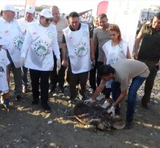 Mersin'de tedavisi tamamlanan kaplumbağa denize bırakıldı