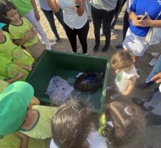 Mersin'de uydu takip cihazı takılan 2 yeşil deniz kaplumbağası denize salındı