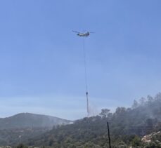 GÜNCELLEME – Muğla'nın Milas ilçesinde çıkan orman yangını kontrol altına alındı