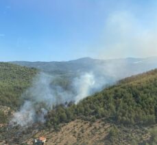 Muğla'nın Milas ilçesinde orman yangını çıktı