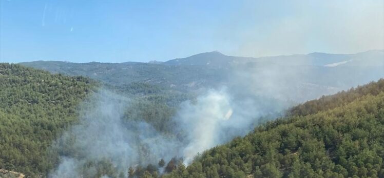 Muğla'nın Milas ilçesinde orman yangını çıktı