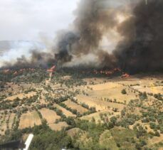 Muğla'nın Milas ilçesinde orman yangını çıktı