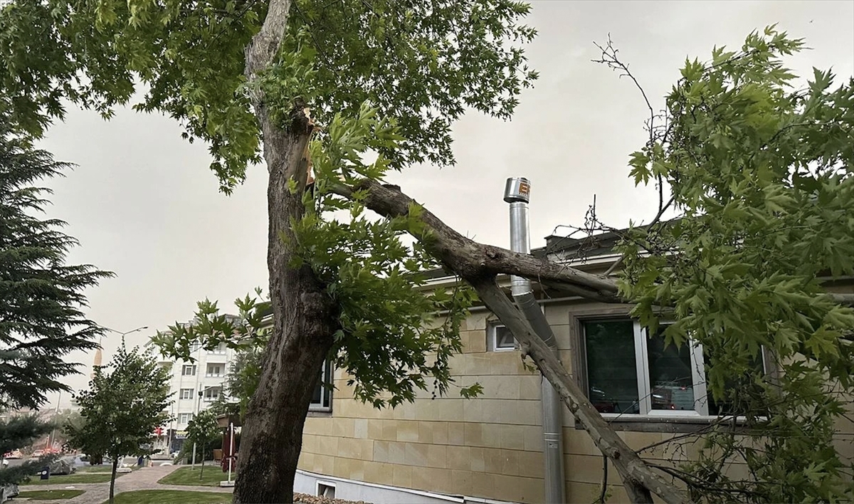 Nevşehir'de kuvvetli rüzgar etkili oldu
