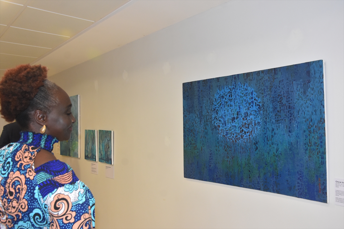 Nijeryalı ressam Silva'nın eserleri Abuja'da sanatseverlerle buluştu