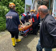 Rize'de kestiği ağacın altında kalan kişi yaralandı