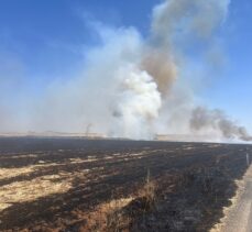 Şanlıurfa'da anız yaktıkları belirlenen 6 kişi hakkında işlem yapıldı