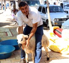 Şanlıurfa'daki hayvan pazarlarında hareketlilik sürüyor