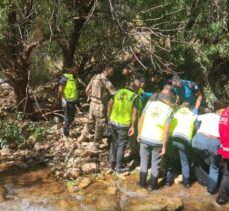 Siirt'te dere yatağına devrilen otomobilin sürücüsü öldü