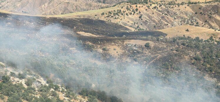 Siirt'te meşelik alanda çıkan yangına müdahale ediliyor