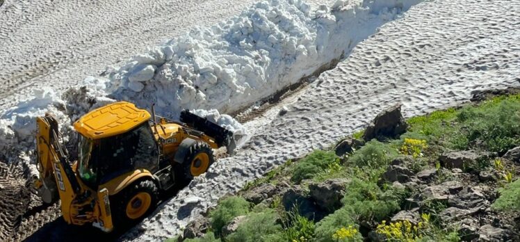 Şırnak'ta yaylalarda kar temizleme çalışması yapıldı