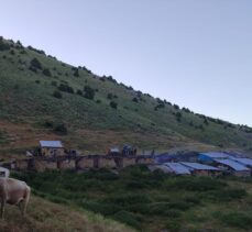 Sivas'ta çıkan yangında 5 yayla evi kullanılamaz hale geldi