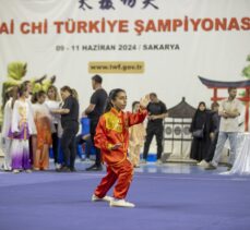 Tai Chi Türkiye Şampiyonası Sakarya'da başladı