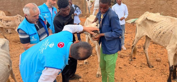 TDV'nin Nijer'deki Kurban Bayramı hazırlıkları tamamlandı