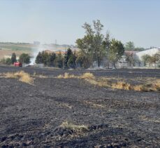 Tekirdağ'da 20 dekar buğday ekili alan yandı