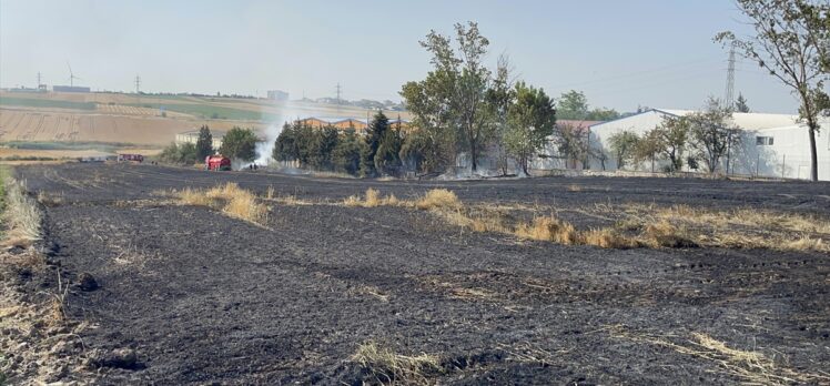 Tekirdağ'da 20 dekar buğday ekili alan yandı