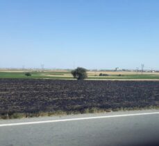 Tekirdağ'da buğday tarlasında çıkan yangın söndürüldü