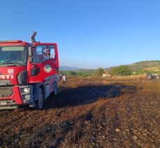 Tokat'ta çıkan yangında yaklaşık 6 dönüm buğday ekili arazi zarar gördü