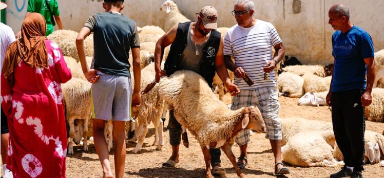 Tunus’ta kuraklıktan dolayı artan maliyet kurbanlık fiyatlarına yansıdı