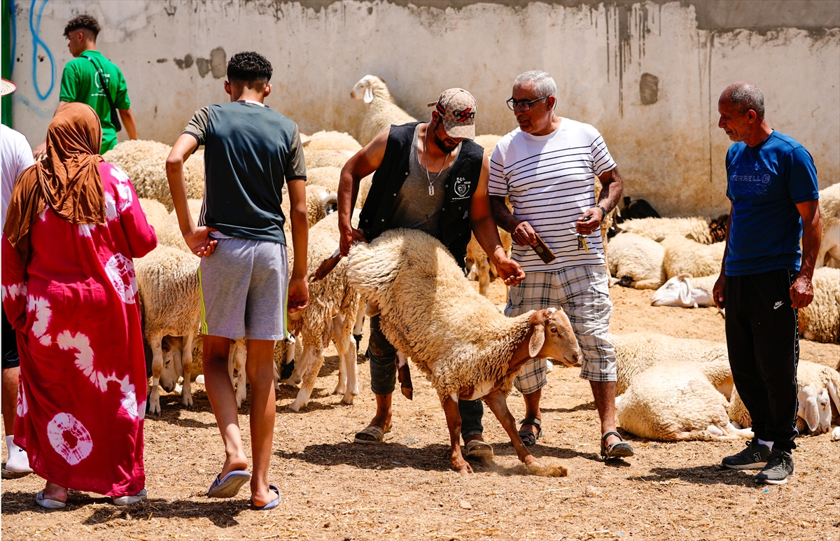 Tunus’ta kuraklıktan dolayı artan maliyet kurbanlık fiyatlarına yansıdı