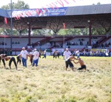 663. Tarihi Kırkpınar Yağlı Güreşleri'nde son gün müsabakaları başladı