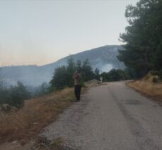 Adana'da çıkan orman yangınına müdahale ediliyor