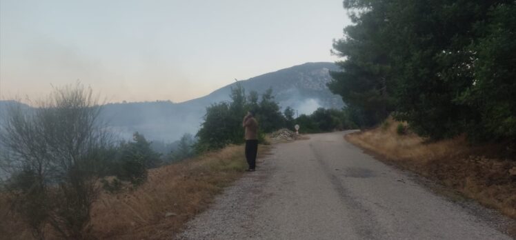 Adana'da çıkan orman yangınına müdahale ediliyor