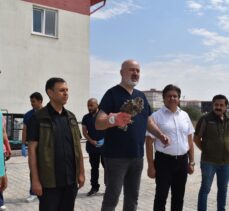 Afyonkarahisar'da tedavileri tamamlanan kuşlar doğaya salındı