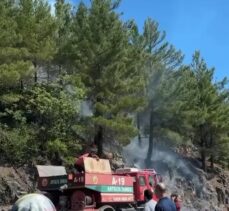 Alanya’da çıkan orman yangını kontrol altına alındı